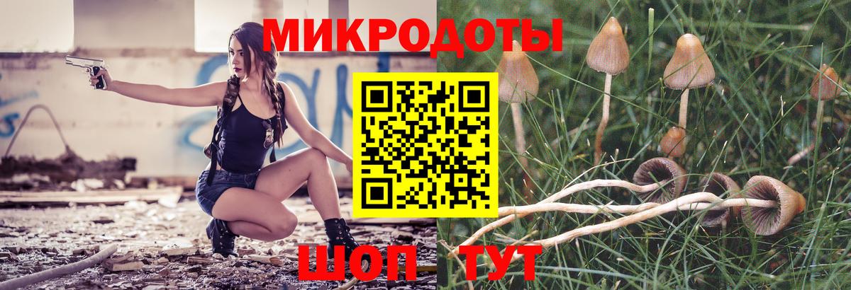Галлюциногенные грибы Magic Shrooms  Псилоцибиновые грибы мухоморы  Александров  Вход с VPN 