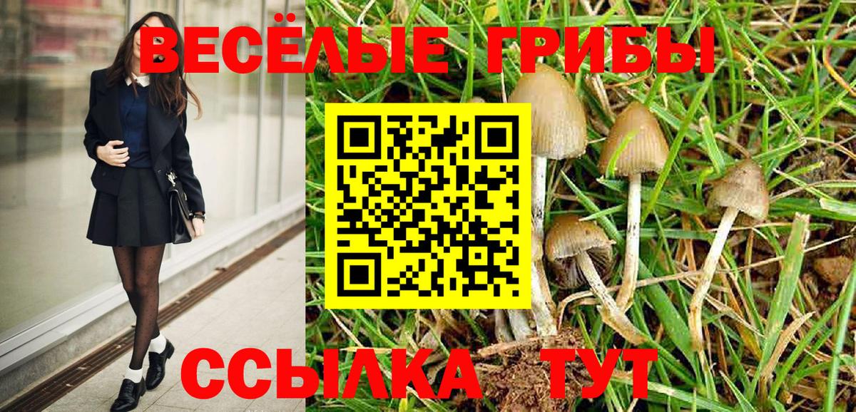 Псилоцибиновые грибы Psilocybe Александров